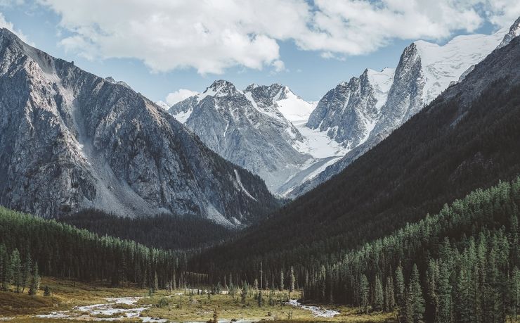 今天钢铁期货是涨还是跌？市场行情深度解析